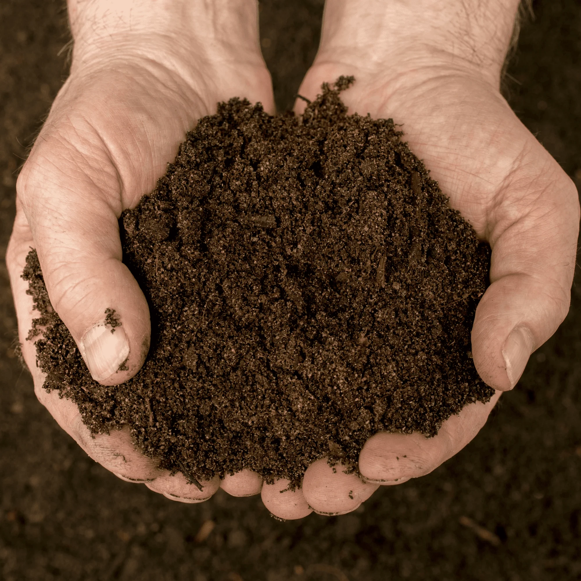 Bordermix Welsh Topsoil for plants and flowers - Image 8