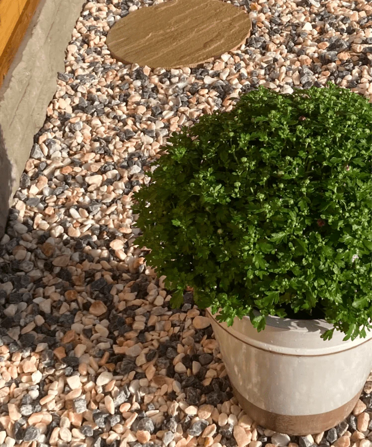 Carnival Pink Marble Gravel Chippings 20mm - 25/50 20kg bags - Image 2