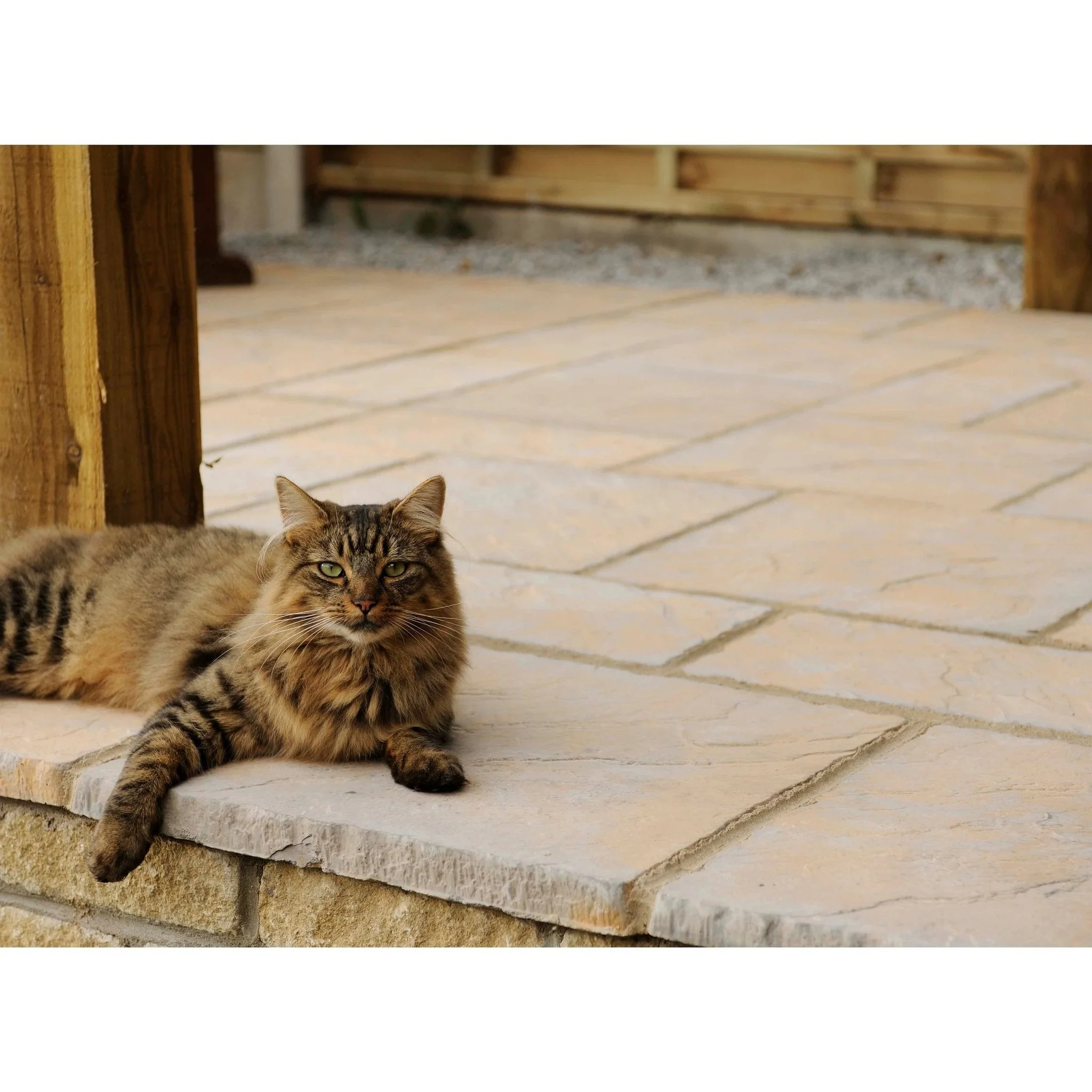Chalice Patio Paving Slabs - Image 10