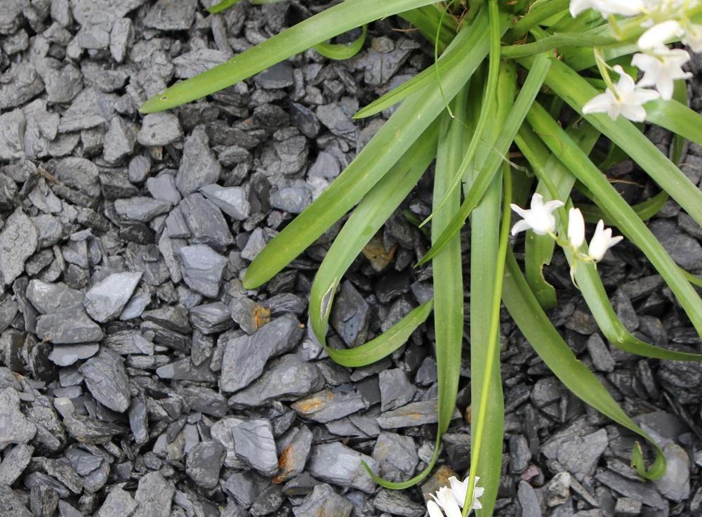 Dark Slate Chippings 20mm - 800kg Bulk Bag - Image 3