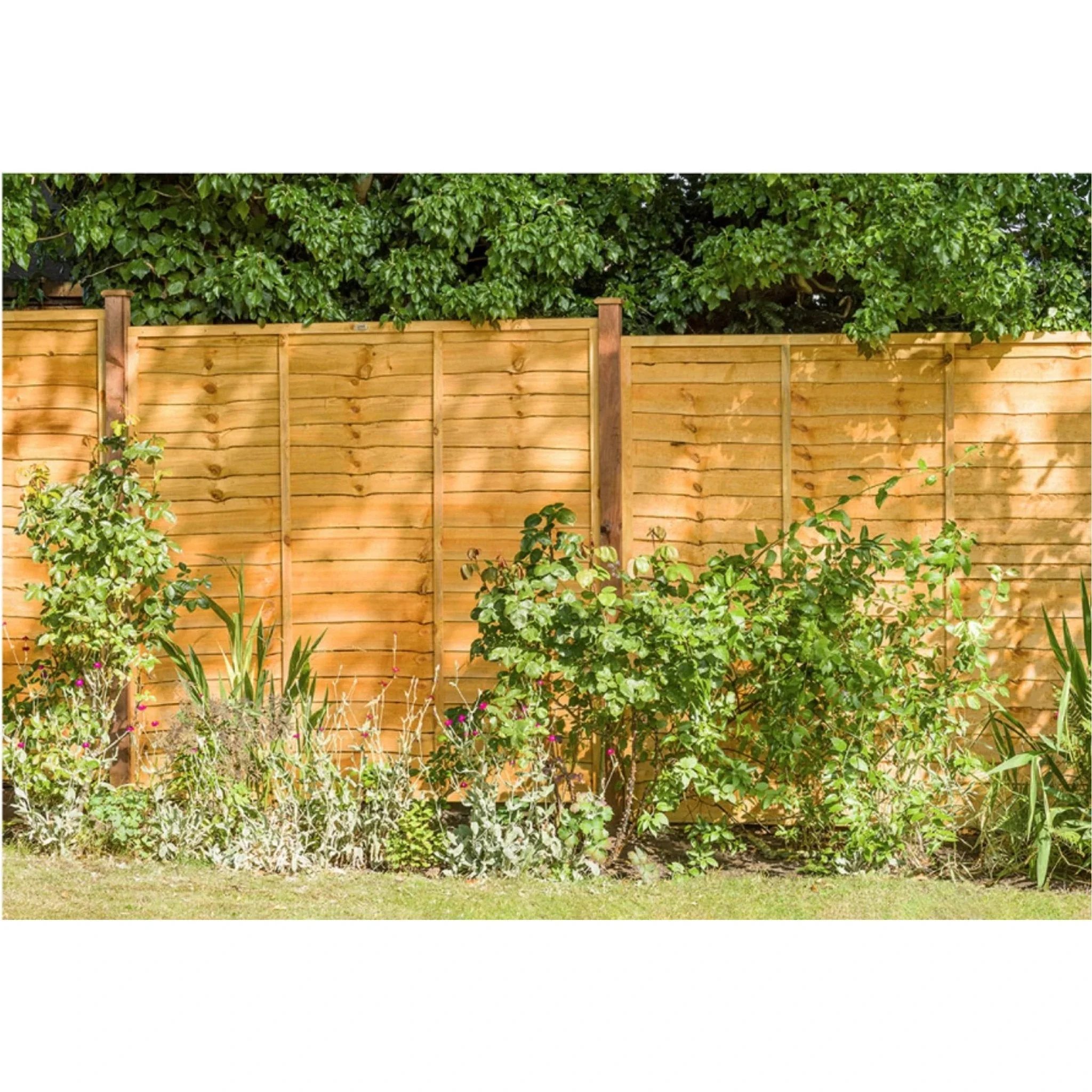 Garden Fence Panels Superior Lap in Packs 1828mmx 1500mm (6ft x 5ft) - Image 4