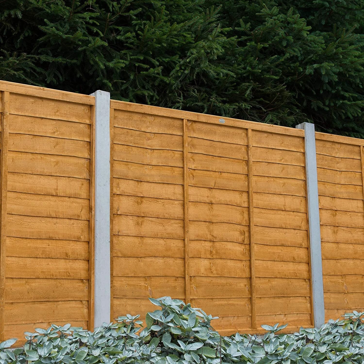 Garden Fence Panels Superior Lap in Packs 1828mmx 1800mm (6ft x 6ft) - Image 5