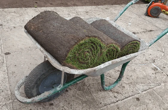 Premier Lawn Turf *Bulk Buy* - Image 5