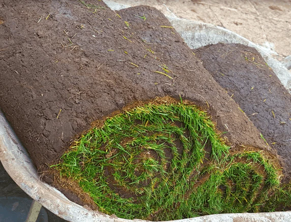 Premier Lawn Turf *Bulk Buy* - Image 6
