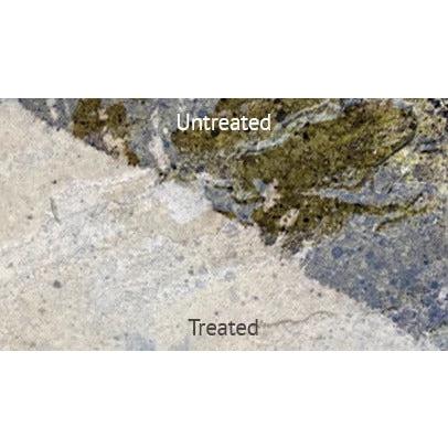 ProJoint Black Spot and Algae Remover 5L - Image 2