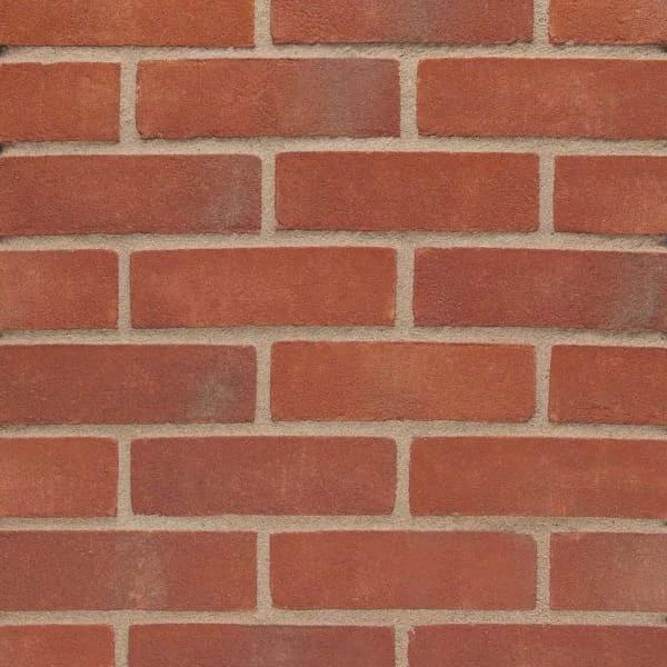 Wienerberger Orange Multi Gilt Brick 65mm Pack of 500
